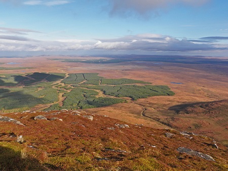 Plantations, as seen from Ben Griam Beg