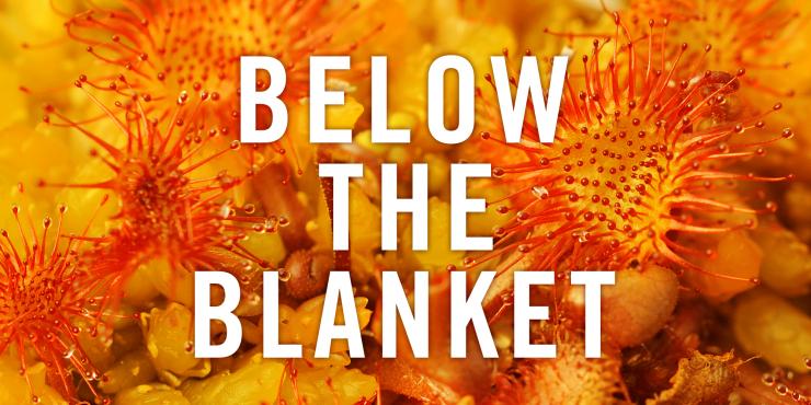 Below The Blanket Cover Image Branded Square Credit Lorne Gill SNH2