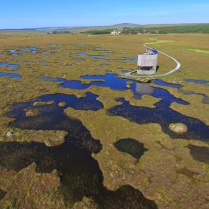 Bog pools and the Flows Lookout at Forsinard credit Neil Cowie RSPB