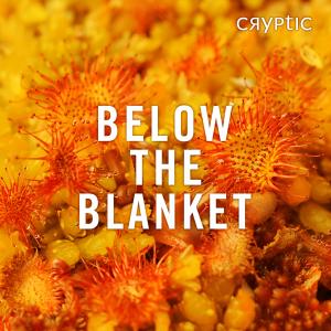 Below The Blanket Cover Image Branded Square Credit Lorne Gill SNH3